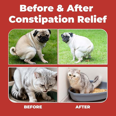 Constipation Relief for Dogs and Cats - Gentle Laxative and Stool Softener with Psyllium - Supports Healthy Bowel Movements, Hairball Relief, and Digestive Comfort - 2 fl oz (60 ml)