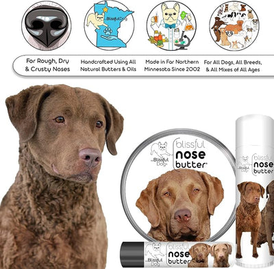 The Blissful Dog Chesapeake Bay Retriever Unscented Nose Butter, 8-Ounce