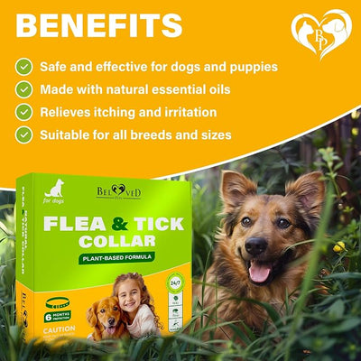 Natural Flea & Tick Collar for Dogs - 6 Months Control of Best Prevention & Safe Treatment - Anti Fleas and Ticks Essential Oil Repellent (1 Count (Pack of 1))