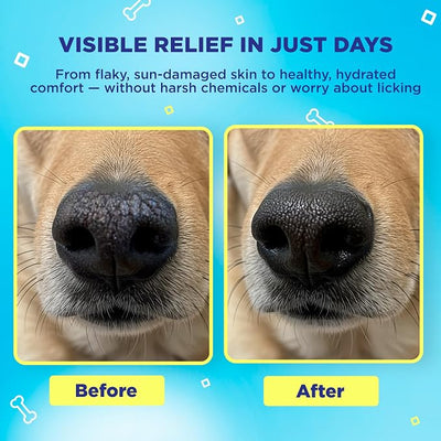 Handy Hound SnoutScreen Dog Sunscreen Balm for Nose & Paws - Lick-Safe Natural Sun Protection, No Zinc Oxide, Soothes Dry Cracked Skin, Made in USA, for Pink Noses & Light-Coated Dogs, 2 oz