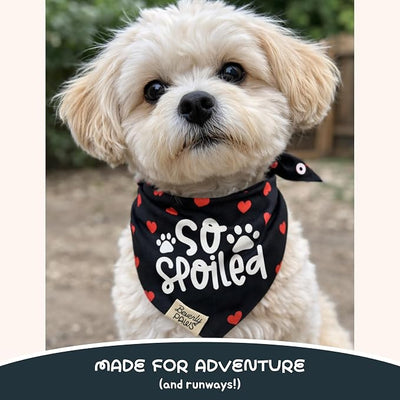Funny Snap-On Dog Bandana for Small Medium Large Pets, Dogs Cats Adjustable Handkerchief Scarf for Girl & Boy, Cute Puppy Apparel & Accessories (So Spoiled, X-Large)