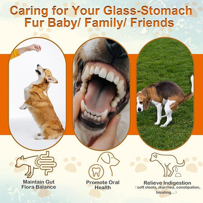 Dog Probiotic Soft Chews Support Gut Health Immunity, Diarrhea Gas Relief, Digestive Yeast Balance, Relieve Itchy Skin, with Pumpkin Blueberry, 6 Digestive Enzymes 4 Prebiotics 6 Probiotics for Dogs