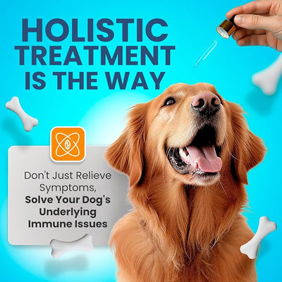 Natural Antibiotics for Dogs Without Vet Prescription – Dog Antibiotics for Infection, Cough, UTI, Allergies – Dog Itching Skin Relief Supplement – Bacon Flavor (2 oz)
