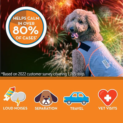 ThunderShirt for Dogs, Small, Platinum Sport - Dog Anxiety Relief Calming Vest