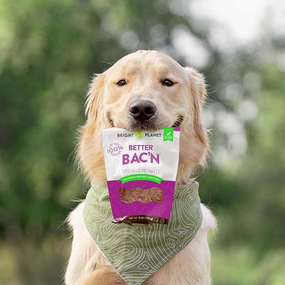 Plant-Based Dog Training Treats (6oz) - Low-Calorie, Soft Chew, Healthy Dog Treats - Clean-Label, Sustainable Ingredients - Adult Pet & Puppy Essentials - USA Made (Better Bac’n)