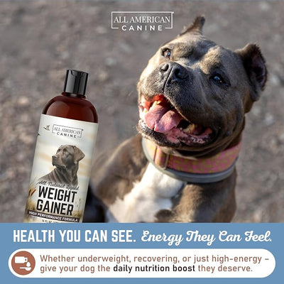 All American Canine Dog Weight Gainer Liquid – High Calorie Dog Food Supplement for Rapid Weight Gain, Mass, and Recovery – Appetite Stimulant – 120 Servings