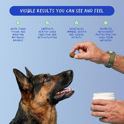 Milk Thistle for Dogs 90 Soft Chews - Liver, Kidney Detox & Hepatic | With Milk Thistle Silymarin, Choline & L-Arginine. Supports liver detox, kidney health & hepatic function with EPA & DHA.
