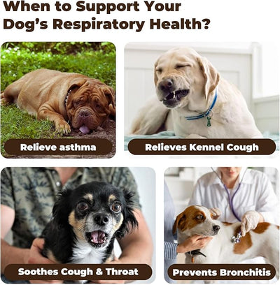 Dog Cough Relief Chews, Kennel Cough Support for Dogs, Herbal Throat & Airway Supplement for Dry & Wet Cough, Choking, Gagging, Wheezing & Respiratory Comfort, 120 Soft Chews