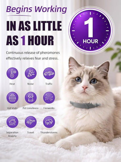 Calming Collar for Cats – 4 Pack Breakaway Adjustable Cat Calming Collars, Pheromone Collar for Cats Small Dogs, Ideal for Travel & Indoor Comfort, Reduces Stress Bad Behavior (Grey, Small)