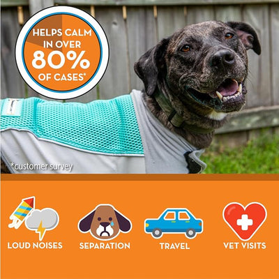 ThunderShirt Breeze for Dogs, Medium, Aqua, Extra Breathable Mesh Fabric, Dog Anxiety Relief Vest for Every Day Stress & Calming During Thunder Storms and Fireworks