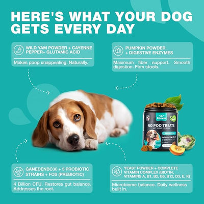No Poo Chews for Dogs - Coprophagia Deterrent - Dog Probiotics for Digestive Health with Enzymes - Canine Stool Eating Deterrent - Digestive, Dental, Gut & Immune Health Treats - No Poop Eating