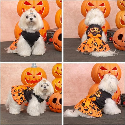 CuteBone Halloween Dog Dresses Velvet Holiday Small Dogs Clothes Onesie Pet Apparel Girl Puppy Skirt with Bow Hair Rope CVA61XXS-D