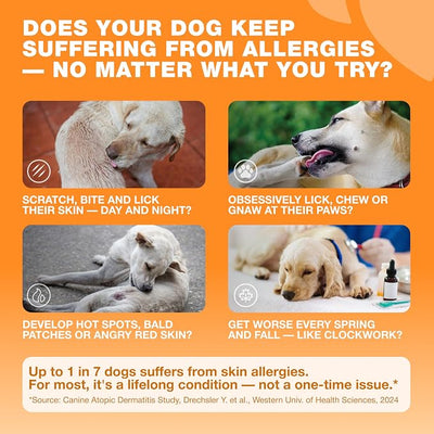 Dog Allergy Relief Chews - Itch Relief for Dogs - 180 Allergy Chews for Itching Skin with Probiotics, Colostrum, Salmon Oil - Allergy, Skin and Coat, Immune, Digestion Support Supplement - Hot Spots