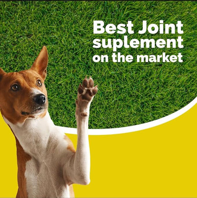 ArtriTabs Joint Support for Dogs – Glucosamine, MSM & Collagen – Hip & Joint Support, Mobility & Cartilage Care – Bacon Flavor Chewable Tablets – for Medium & Large Dogs – 60 Count