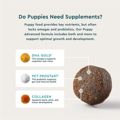 VetIQ Advanced 8-in-1 Puppy Multivitamin Supplement, Daily Vitamins, Immune Support, Joint, Skin & Coat, Brain, Digestive & Hip Health for Puppies, 90 Count