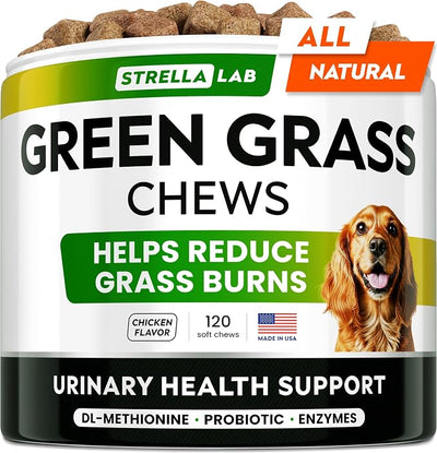 STRELLALAB Green Grass Chews - Pee Grass Spot Saver Caused by Dog Urine - Urine Neutralizer for Lawn, Gut Health Probiotics & Digestive Enzymes,Lawn Burn from Dog Urine, Grass Burn Spot Chews