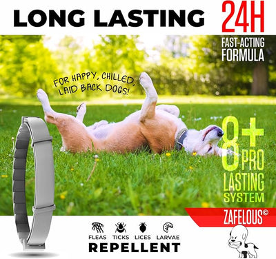 Flea and Tick Prevention for Dogs - Flea Collar - 2 Count - Adjustable