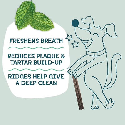 Shameless Pets Dental Treats for Dogs, Banana Bone-Anza - Healthy Dental Sticks with Hip & Joint Support for Teeth Cleaning & Fresh Breath - Chews Free from Grain, Corn & Soy