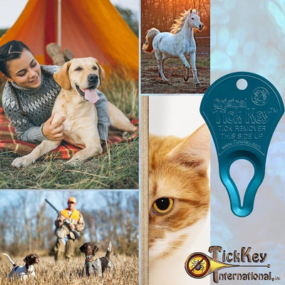 The Original Tick Key -Tick Removal Device - Portable, Safe and Highly Effective Tick Removal Tool - 3 Pack (USA)