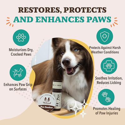Natural Dog Company Paw Soother Dog Paw Balm, 2 oz Stick | Moisturizes Dry Cracked Paws, Coconut Oil & Calendula, For Walks, Hot Pavement, Beach, Hiking, Daily Paw Care