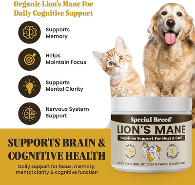 Organic Lion’s Mane for Dogs & Cats - Cognitive & Brain Support Supplement - Supports Memory, Focus & Nervous System Health - Mushroom Powder - 200 Servings