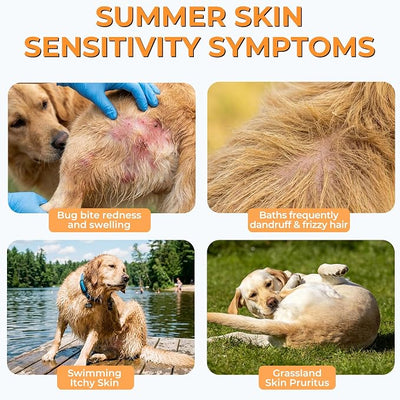 Skin and Coat Supplement for Dogs, Omega 3 Fish & Salmon Oil with EPA & DHA, Colostrum Support Skin & Coat Healthy, Itchy Dog Allergy May Reduce Shedding, Chicken Flavor, 12 Ct
