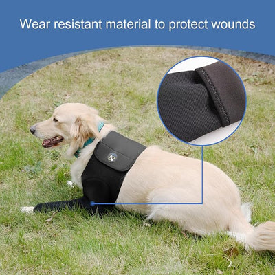 Coodeo Dog Recovery Suit, Cone Collar Alternative, Abrasion Resistant Dog Recovery Sleeve, Washable 2.5mm Thick and Waterproof, Pet Wounds Prevent Licking, Bite, Keep Dry (Black, XL)