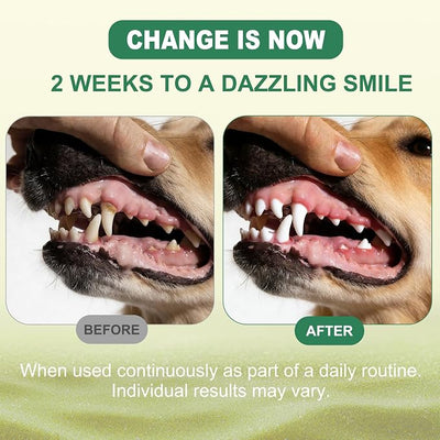Dog Dental Powder for Teeth Cleaning - Dog Dental Care, Plaque & Tartar Remover for Teeth, Oral and Gum Health Support for All Ages Dogs & Cats, Mint Flavor