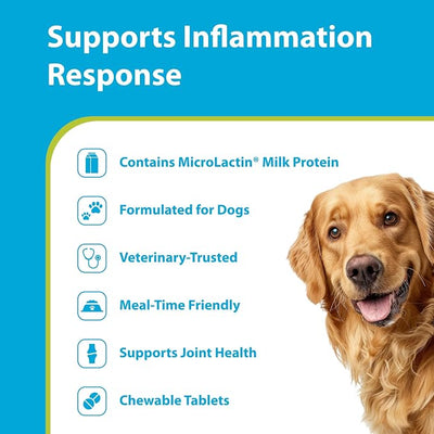 PRN Pharmacal Duralactin Canine Chewable Tablets - Joint Health Supplement for Dogs & Puppies - Pet Mobility Support - Vanilla Flavored Chews - 60 Count