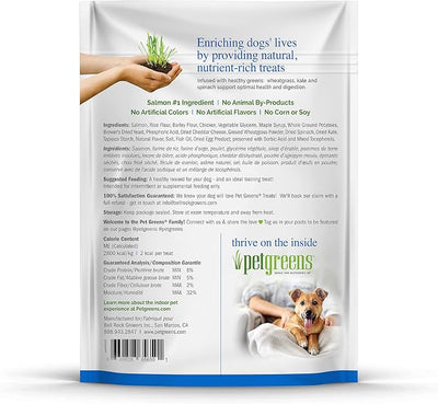 Pet Greens Natural Soft-Chew Dog Treats Infused with Supergreens Healthy Salmon, Flavor, 6 Ounces Per Pack (3 Pack Healthy Salmon)