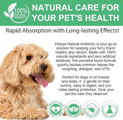 Antibiotics for Dogs, 60ML Natural Antibiotics for Dogs, Dog Antibiotics, Dog Supplies Antibiotics, Dog Multivitamin for Pets, Natural Dog Antibiotics Supports Dog Allergy and Itch Relief