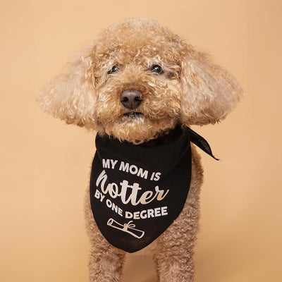 My Mom is Hotter By One Degree Dog Bandana | 100% Cotton Triangle | Made in USA | Graduation Prop | Class of 2025 2026 2027 2028 |Camo, X-Small (667)