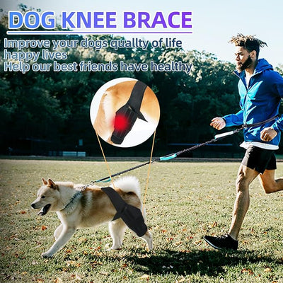 Dog Knee Brace for Torn ACL Hind Leg, Dual-Leg CCL Support with Vest Harness, 4 Metal Stabilizers, Hip Dysplasia & Luxating Patella Support, Vet-Recommended Rear Leg Brace for Dogs