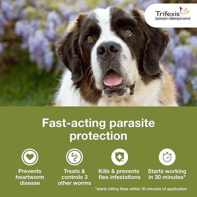 Trifexis Heartworm Prevention | Treats & Controls Flea Infestations + 4 Other Worms | Dogs 60.1-120 lbs. | 6 Chewables