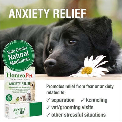 HomeoPet Anxiety Relief Medicine for Pets, Natural Anxiety Relief for Dogs and Cats, Cat and Dog Calming Medicine, 15 Milliliters