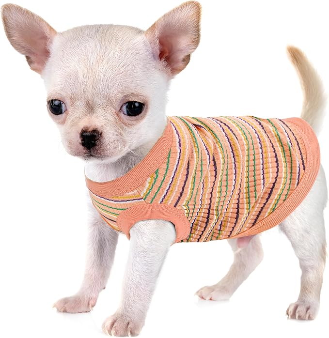 Elevate Your Pet's Comfort and Fashion: Premium 100% Cotton Rib Dog Shirt Vest for Small Breeds Like Chihuahuas, Yorkies, and Puppies .Year-Round Style with Tank-Style Puppy Attire Orange Large