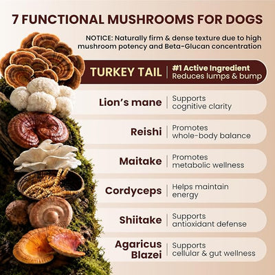 Pawpulse Formula Turkey Tail Mushroom for Dogs with Lion's Mane & Reishi – Senior Dog Supplement for Lipoma, Lumps & Bumps – Immune Support & Gut Health – 80 Count