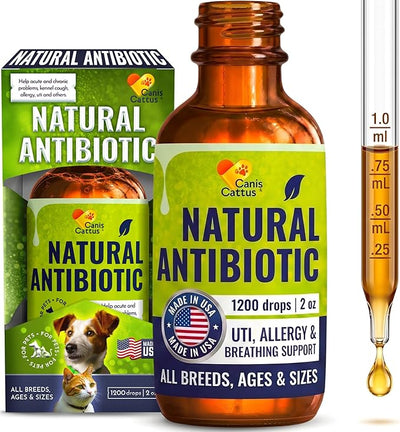 Dog Antibiotics in Drops Work as Cat UTI Treatment, Support Pets with Allergies – Natural Antibiotics for Dogs Care for Digestion and Breathing in All Pet Sizes and Breeds – 2 oz
