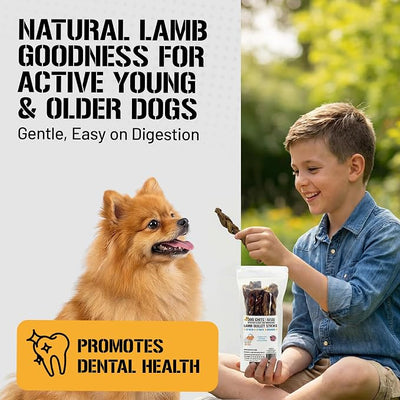Dog Chits Lamb Esophagus Chews for Dogs & Puppies - Natural Single Ingredient - High Protein, Low Fat Lamb Dog Treats - Long Lasting, Easy to Digest - Great for Joint, Dental Clean Crunch - 12in, 8pk
