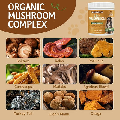 Mushroom for Dogs - Turkey Tail for Dogs - 9 Organic Mushroom Supplement with Turkey Tail, Reishi, Lions Mane - Hip & Joint, Skin & Coat, Digestive, Cellular, Immune Health Support - Chicken Flavor