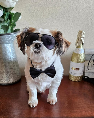 C08 Dog Pet Costume Set Retro Sunglasses + Bow Tie Adjustable for Small-Medium Dogs 12-30 lbs Party Prop Cosplay Photoshoot (Aviator Black + Black Bow Tie)
