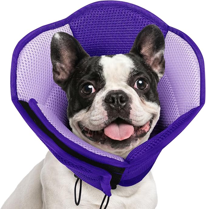 AOFITEE Dog Cone - Soft Cone for Dogs to Stop Licking After Surgery, Foldable Small Dog Cone Collar, Adjustable Cones for Dogs for Wound Healing, Elizabethan Pet E-Collar, Purple Small