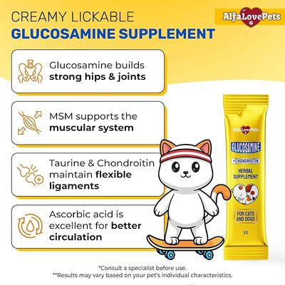 Glucosamine for Cats with Chondroitin, MSM & Taurine – Lickable Cat Joint Supplement Supports Hip Mobility & Ligament Strength – Helps Maintain Flexibility – Natural Beef Flavor – 10 Sticks in Pack