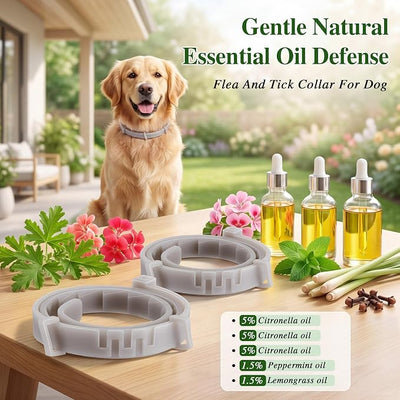 Flea and Tick Collar for Dogs with Natural Essential Oils, Glow in The Dark Dog Collars for Night Walking, Waterproof & Adjustable Flea and Tick Prevention for Dogs, Puppies, 2 Pack, Fluorescent Glow