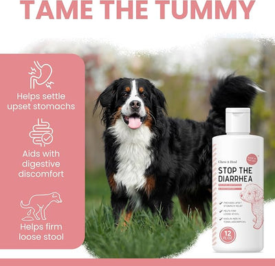 Chew + Heal Labs Anti Diarrhea Liquid for Dogs 12 oz - Dog Diarrhea Medicine, Kaolin, Fast-Acting Upset Stomach Relief, Firms Loose Stool, Chicken Flavor, Digestive Support - Made in USA