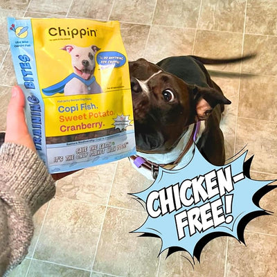 Chippin Low Calorie Training Treats for Dogs & Puppies, Reward Confidently with Real Fish & Sweet Potato Soft Mini-Bites, Healthy, Natural, 2 Calories Each, No Chicken