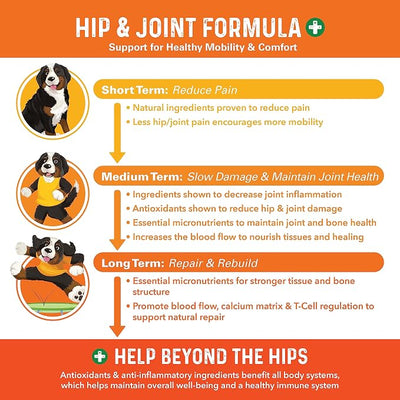 Bernie's Healthy Hips Dog Joint Supplement, 90 Chews