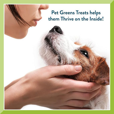 Pet Greens 3 Pack of Soft-Chew Li'l Treats for Small Dogs and Puppies, Tasty Lamb, 6 Ounces Per Pack (3 Pack Tasty Lamb)