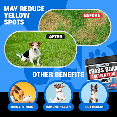 Dog Urine Neutralizer for Lawn - Green Grass Chews to Help Prevent Lawn Burn - Dog Pee Neutralizer & Grass Saver - Urinary & Bladder Support for All Breeds + Ages