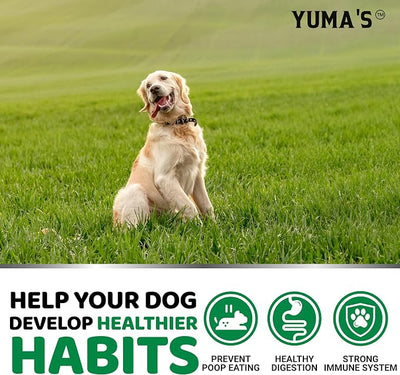 No Poo Chews for Dogs - Coprophagia No Poop Eating Deterrent for Dogs - Stop Eating Poop for Canine - Probiotics & Digestive Enzymes Supplement - Made in USA